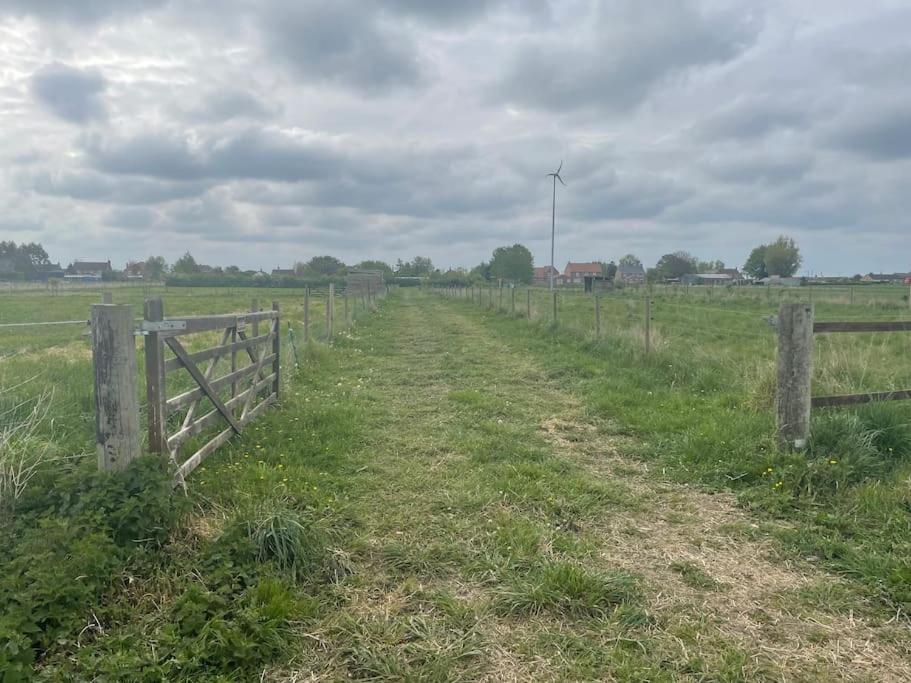Ivy Cottage Salters Lode Exterior foto